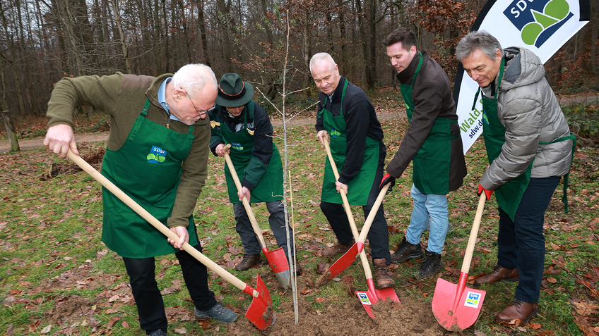 V.l.n.r.: Hermann Eberhardt (SDW BW), Dr. Dieter Münch (Geschäftsbereichsleiter ForstBW), Klaus Nussbaum, Manuel Hagel (SDW-Vorsitzender) und Peter Jahn (Beratendes Mitglied der Nussbaum Geschäftsleitung) bei der Pflanzung. | © Fotos: Nussbaum Medien/Wolfgang List