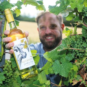 Ein Mann hält eine Flasche der Marke "Goodvines" durch Weinreben. 